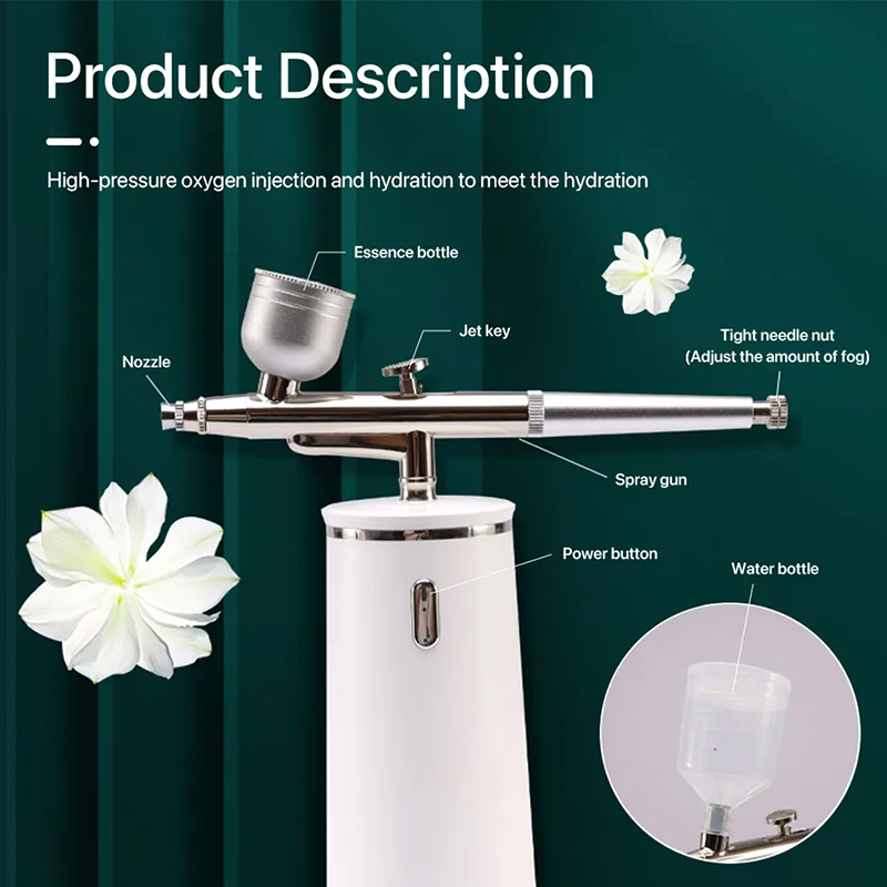 PAKISS Nano Ionic Cold Mist Ai - Face Steamer recension och pris
