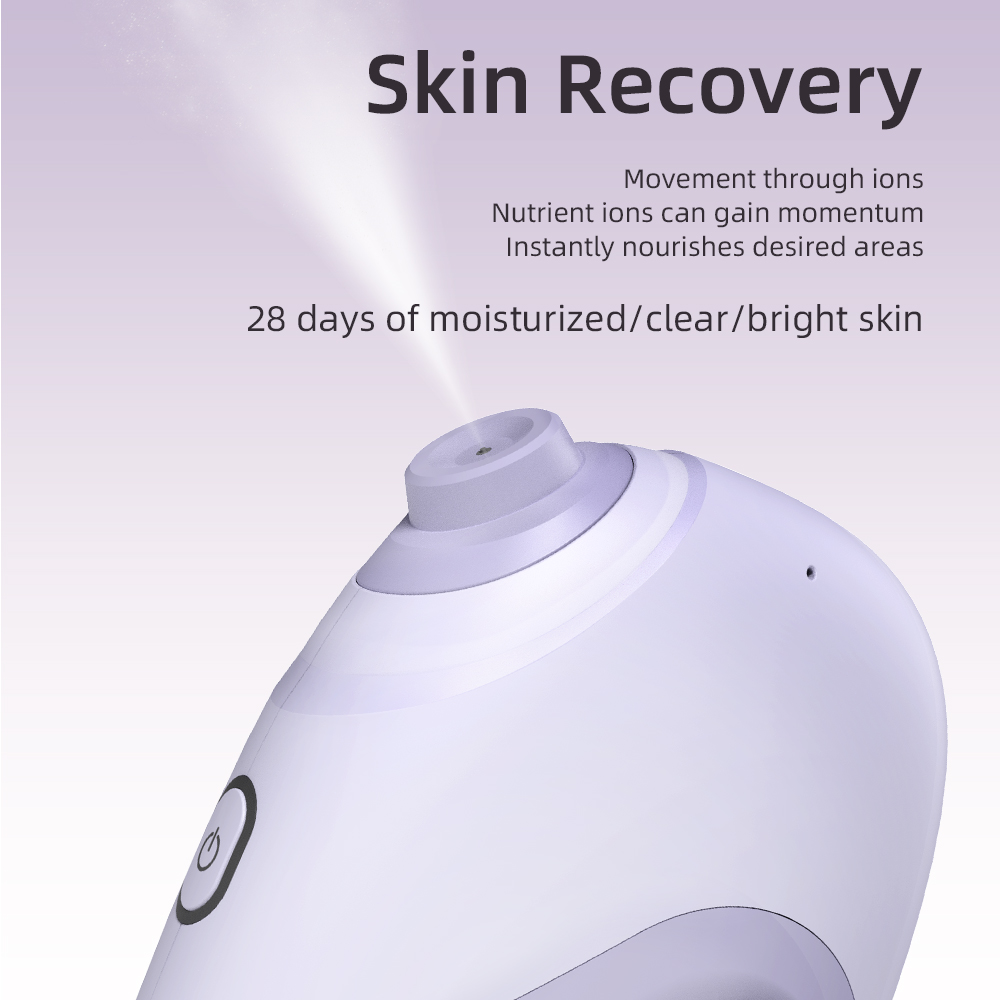 Nano Facial Sprayer Water Stea - Face Steamer recension och pris